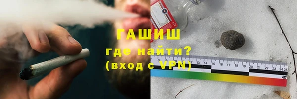 индика Алзамай