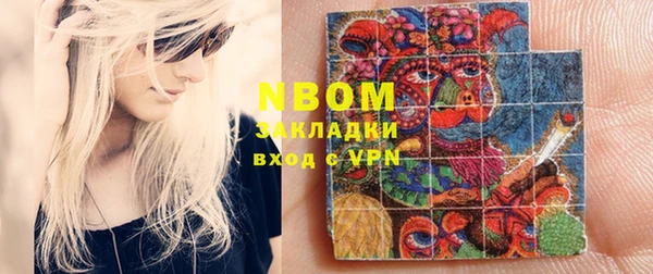 индика Алзамай