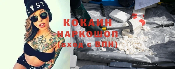 индика Алзамай