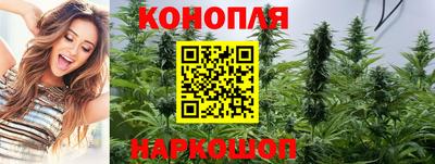крисы Обнинск