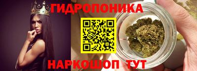 крисы Обнинск