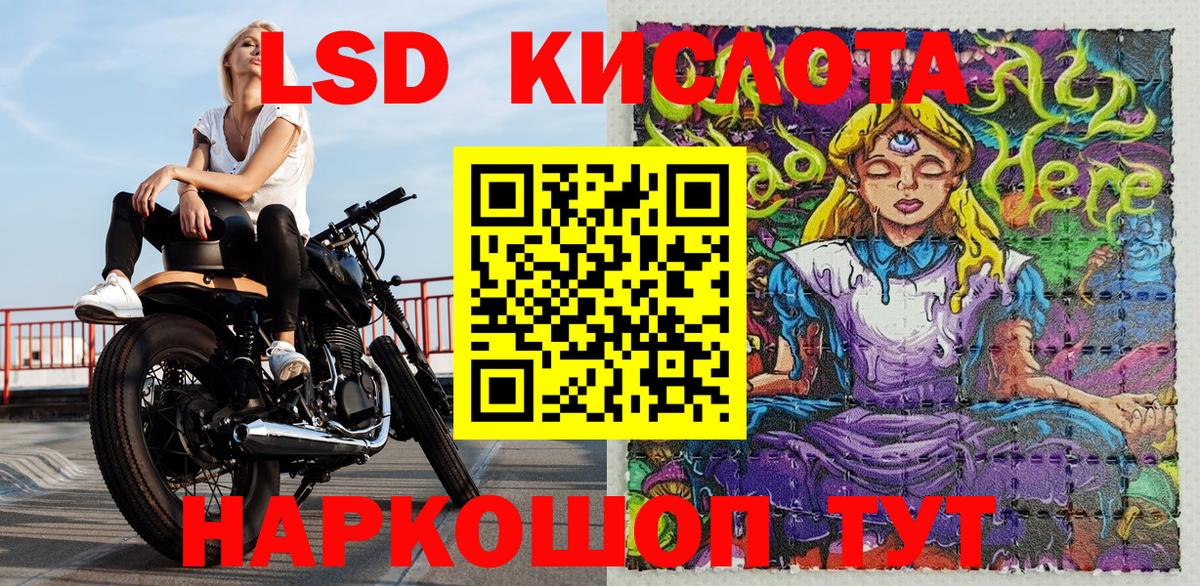 Псилоцибиновые грибы Юрга