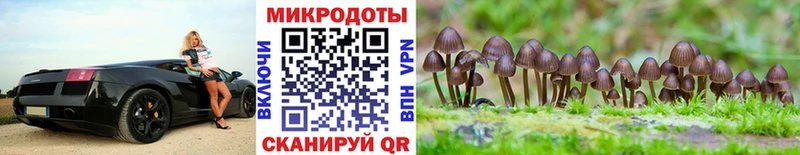 дарк нет Telegram дарнет шоп Юрга Галлюциногенные грибы Magic Shrooms