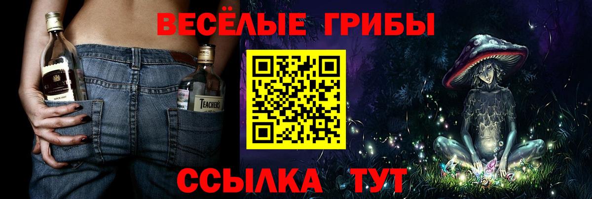 Юрга  Псилоцибиновые грибы Magic Shrooms  Вход с VPN  Псилоцибиновые грибы мицелий 