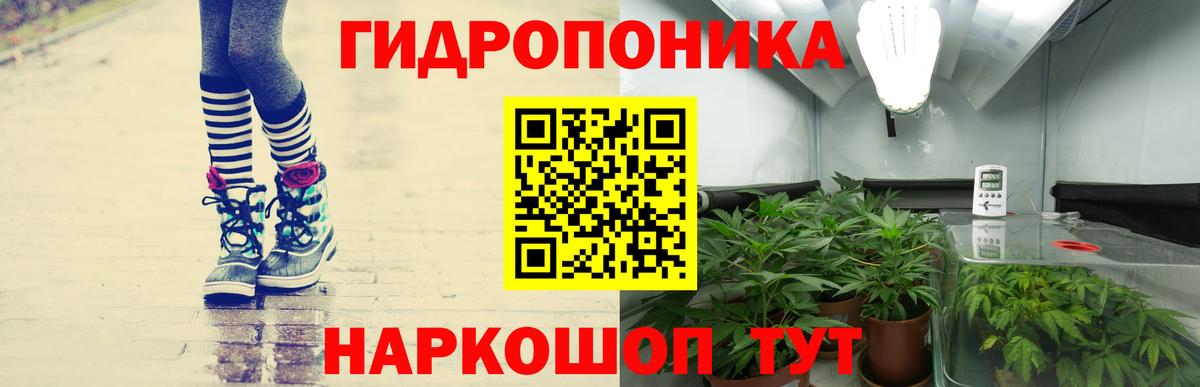 Шишки марихуана конопля  Вход с VPN  Шишки марихуана сатива  Юрга  Марихуана ГИДРОПОН 